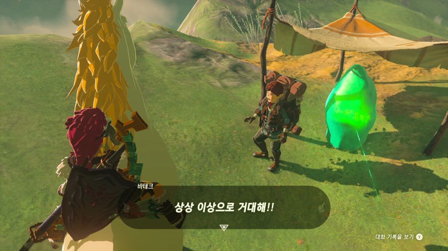젤다의 전설 티어즈 오브 더 킹덤_43.png