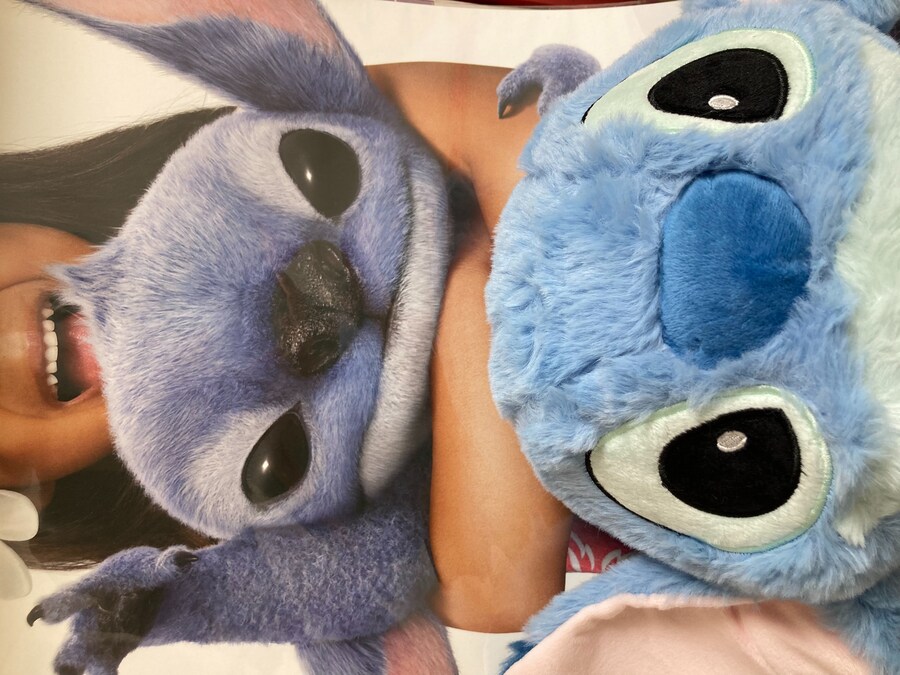 중국에 무역보복 당했다_2.jpg