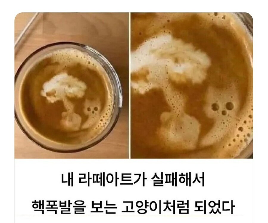 고양이 핵폭발.jpg_1.jpg