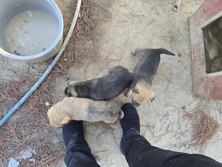 아가 멈뭉. jpg_3.jpg