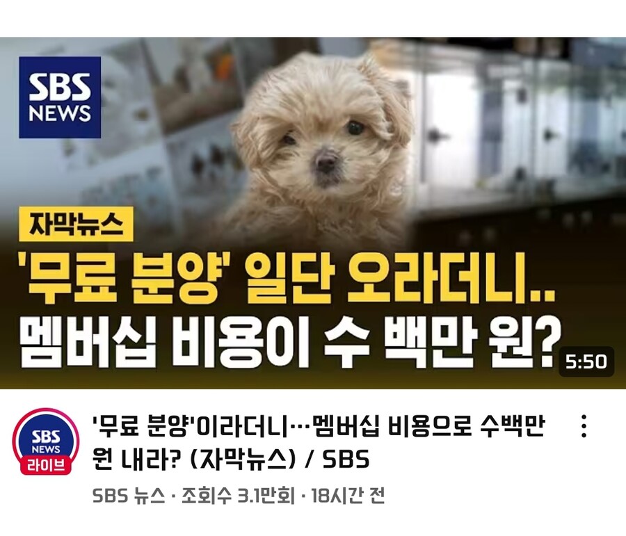 펫샵 특_1.jpg