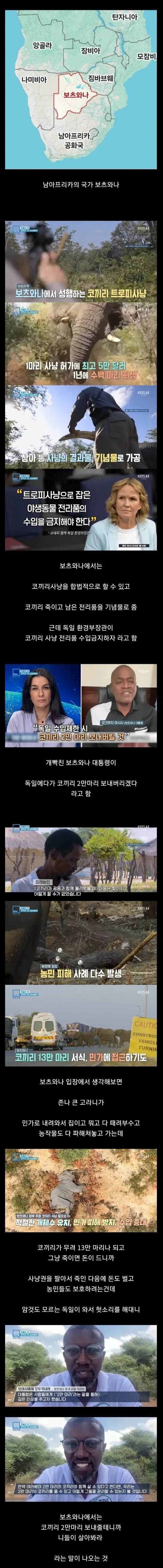 코끼리가 한국의 고라니 취급인 나라_1.png