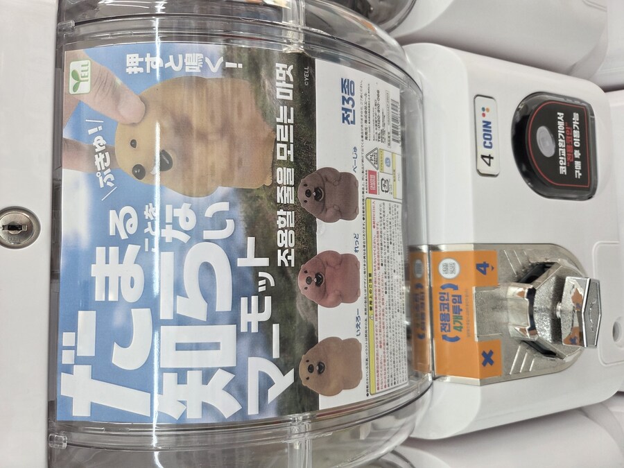 리노아님 피셜 제철 수녀님인것_1.jpg