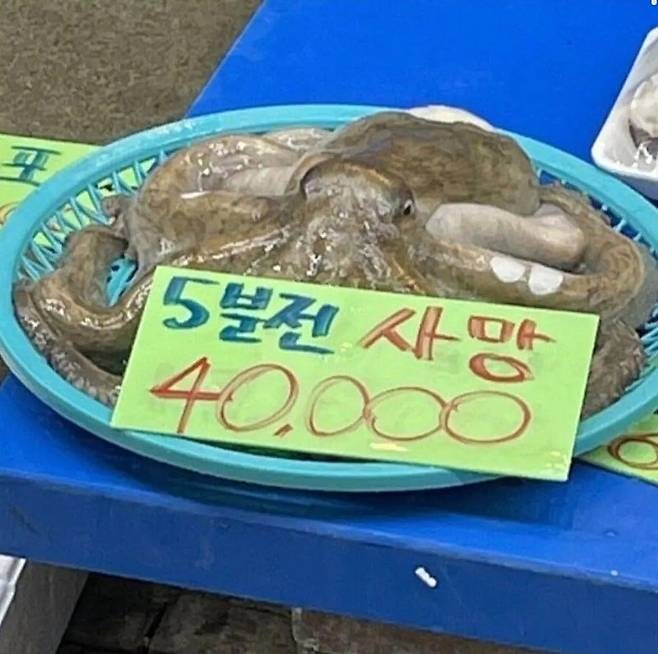전통 시장에 가면 볼 수 있는 재밌는 다양한 볼거리들_15.jpg