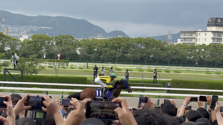 경마) / 말딸) 매 경기 다른 위치에서 달리는 말은 좋아하시나요?_3.jpg