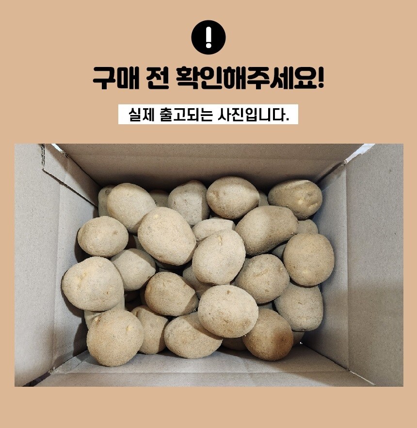 [G마켓] 2025년 햇감자 대 5kg / 7,980원_1.jpg