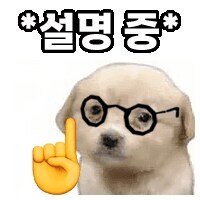 일본 여론조사 결과_1.jpg