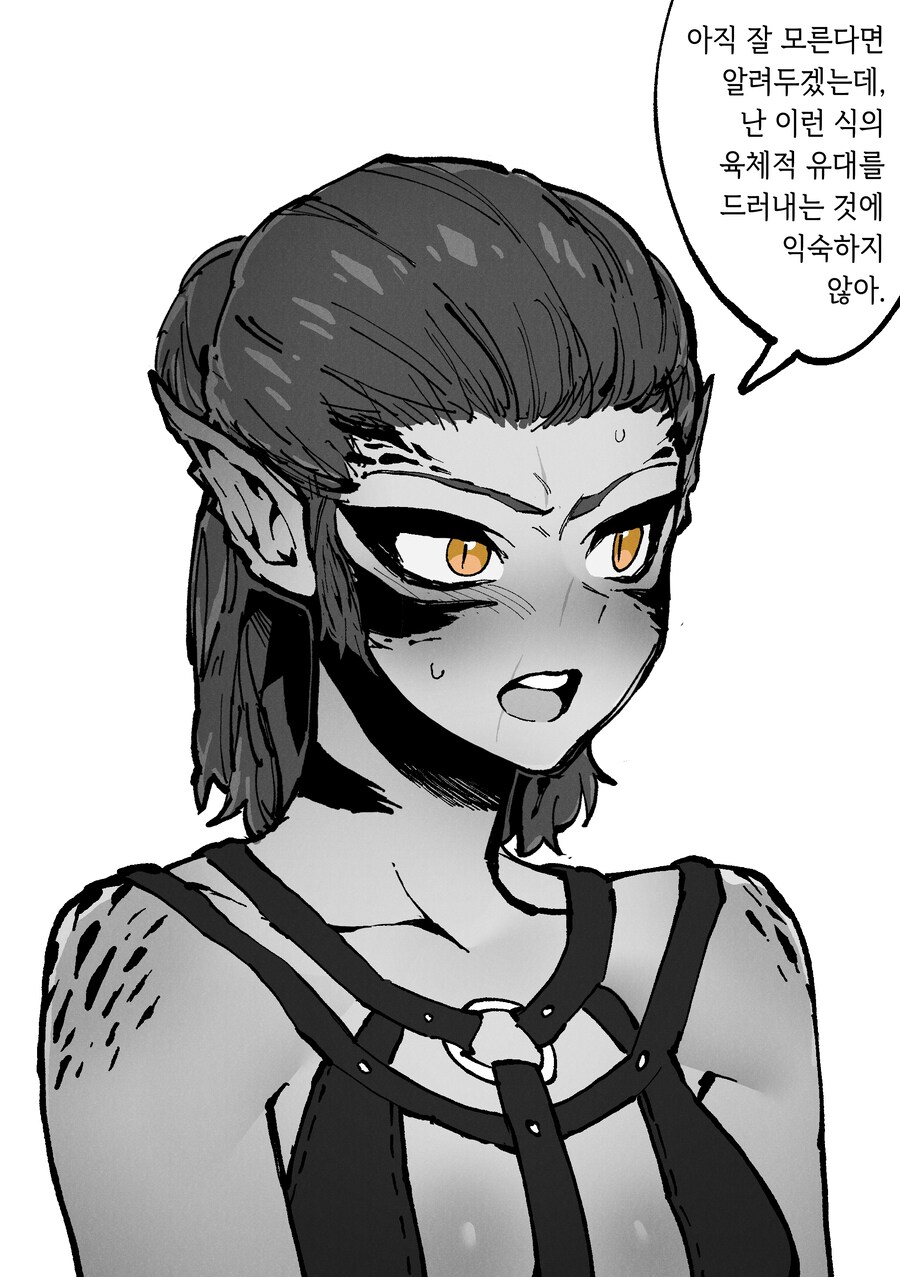 반박불가 발더스3최고 미녀_3.png