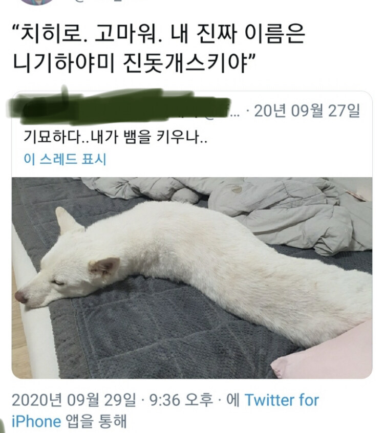 센과 치히로의 행방불명.jpg_1.jpg