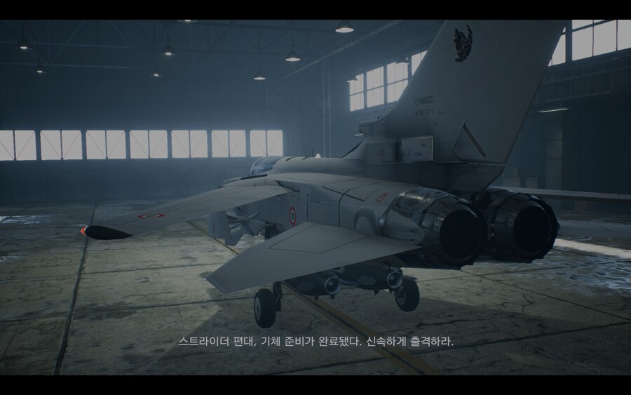 에이스 컴뱃 7 토네이도_4.png