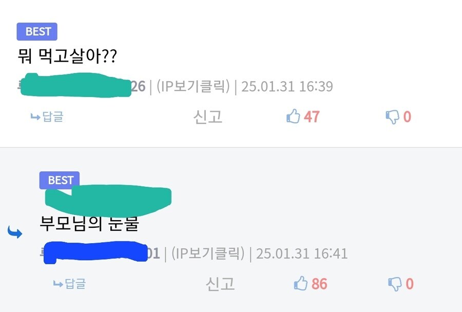 한때 유게에서 사학과 인증 대란일때_1.jpg