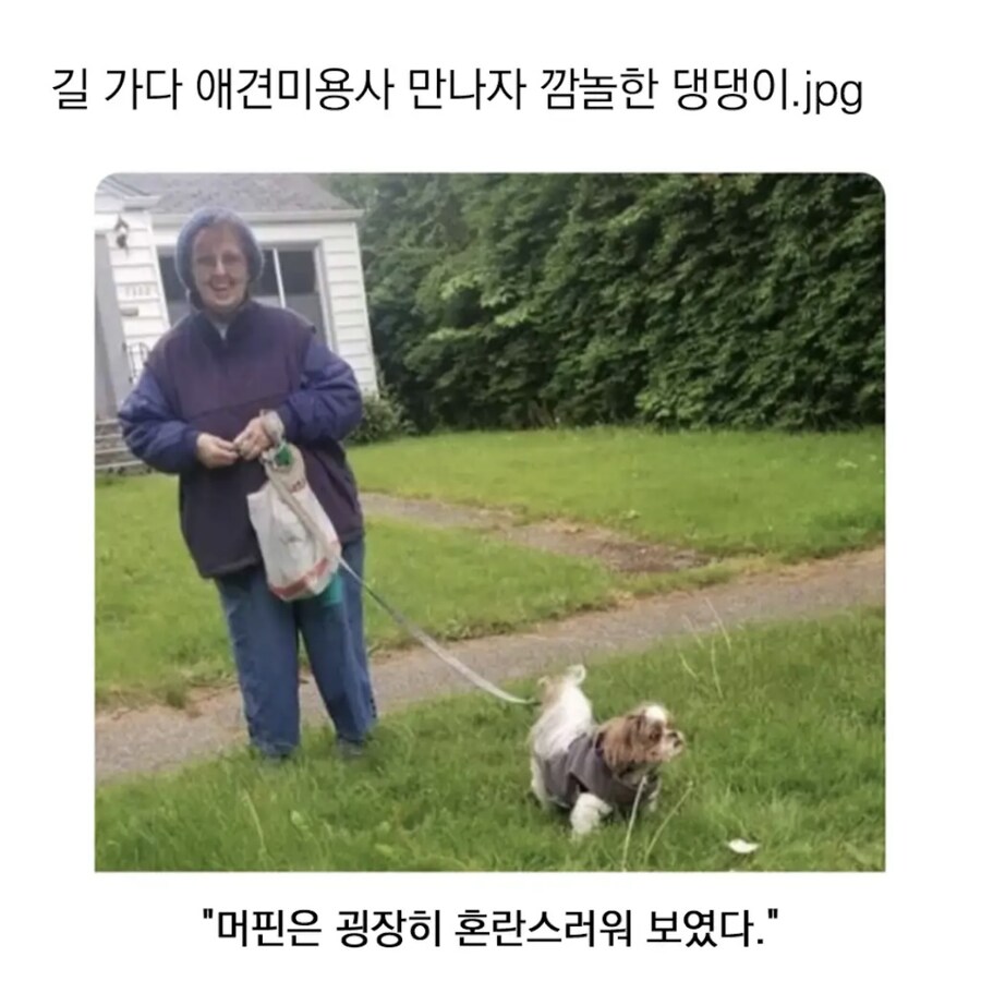 NPC가 돌아 다닌다!