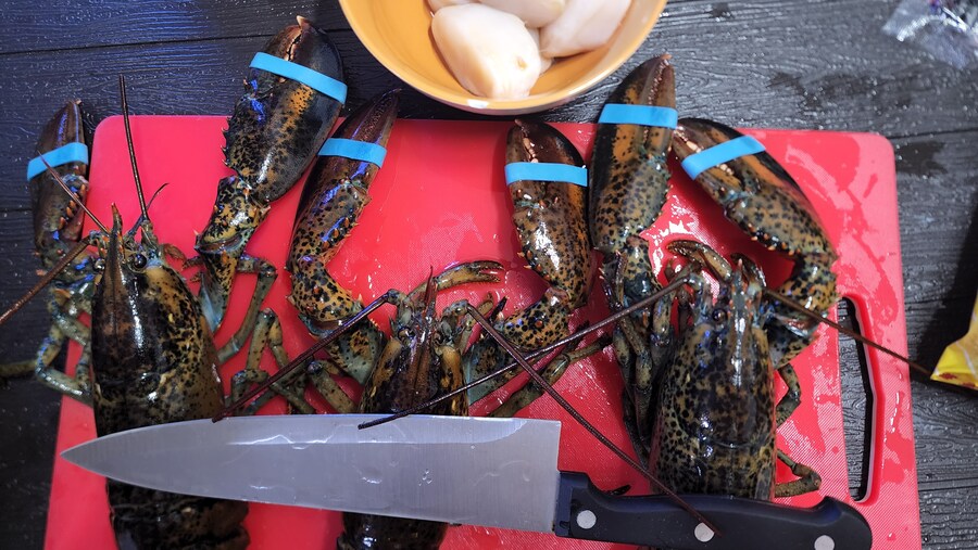 나도 커뮤를 뒤흔드는 난자ㅇ판에 참전해보게따_9.jpg