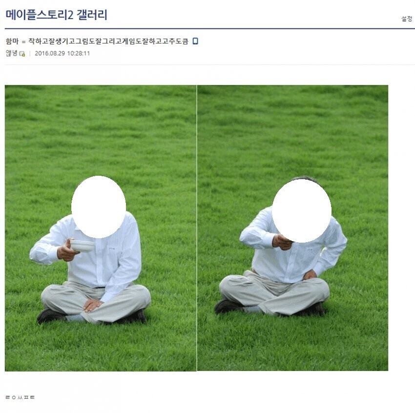 대체 메이플2 갤러리 여긴 뭐길래_2.jpg
