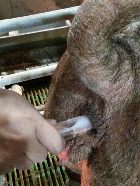 본격적으로 더워지기 전에 준비해둬야 하는 필수템_3.jpg