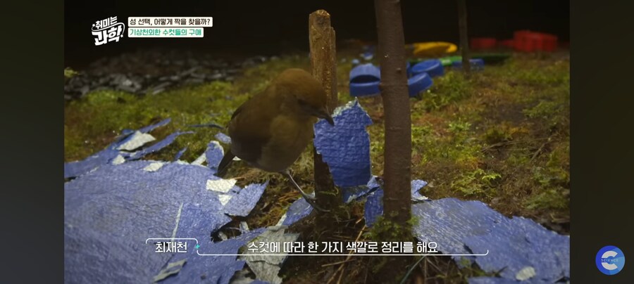 동물행동학자가 말하는 결혼_6.jpg