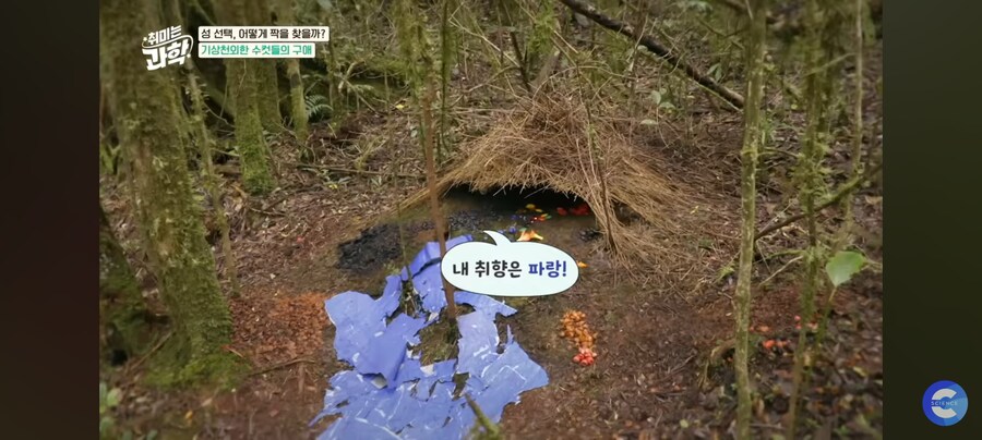 동물행동학자가 말하는 결혼_8.jpg