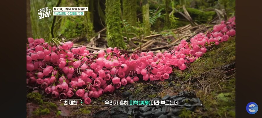 동물행동학자가 말하는 결혼_11.jpg