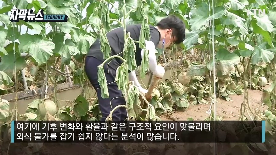 점심먹으러 갔다 나오는 한숨_7.jpg