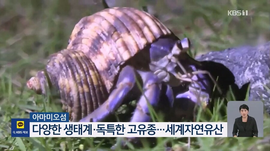 중국인 짐에서 나온 보호종 5000마리_6.jpg