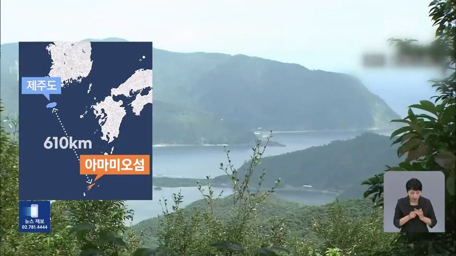 중국인 짐에서 나온 보호종 5000마리_5.jpg