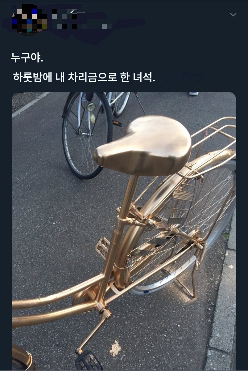 내 자전거에 금칠한놈 누구인가_1.jpg