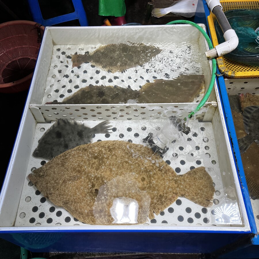 오늘 먹을 저녁이다 ~!!_1.jpg