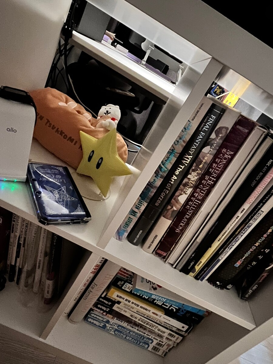 X늘의 집을 꿈꾸는 여자 게이머의 집_10.jpg