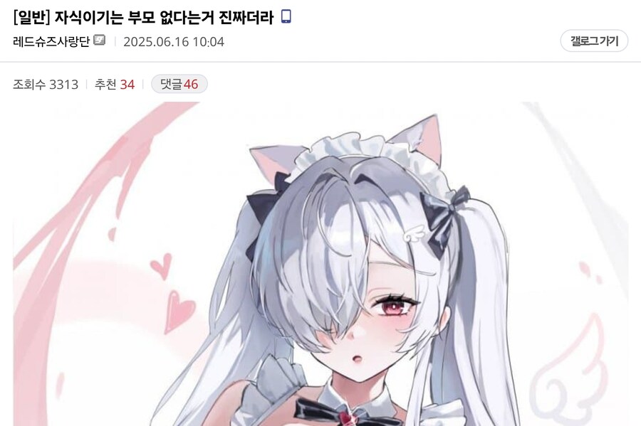 자식 이기는 부모 없다는 디시인_1.jpg