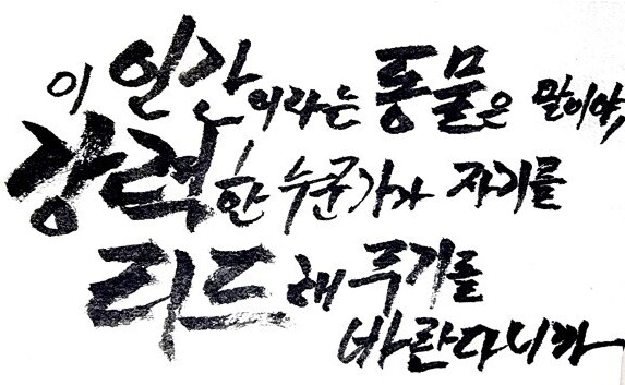밤통링 뉴비 특징_1.png