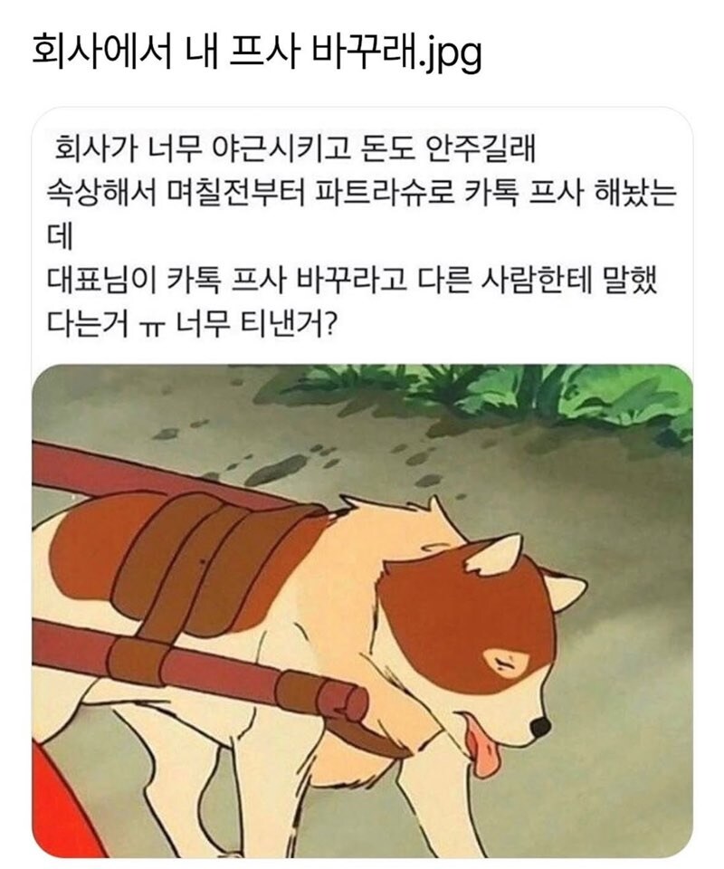 회사에서 프사 이걸로 해볼까_1.jpg
