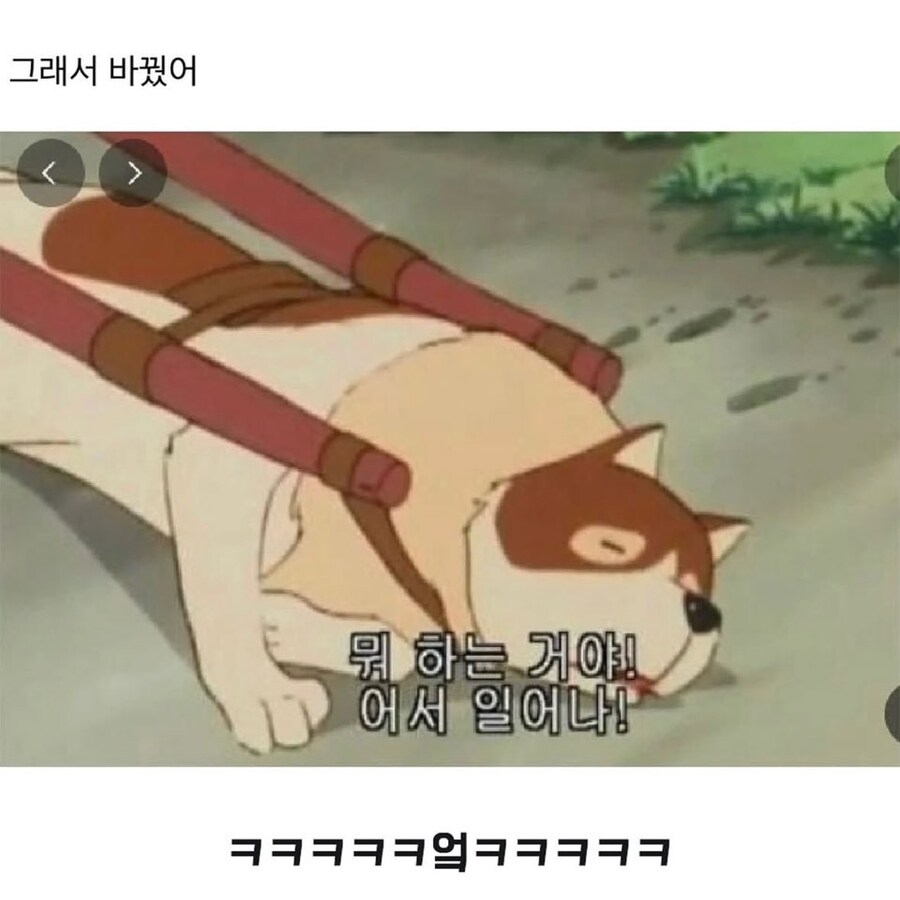 회사에서 프사 이걸로 해볼까_2.jpg