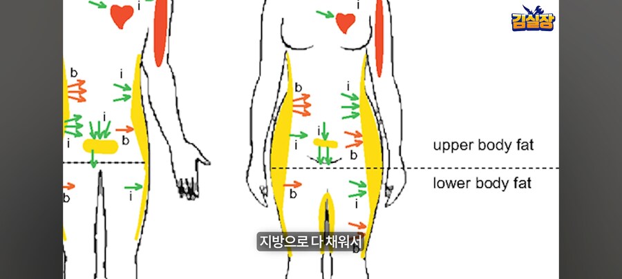 김형태의 엉덩이철학_55.jpg