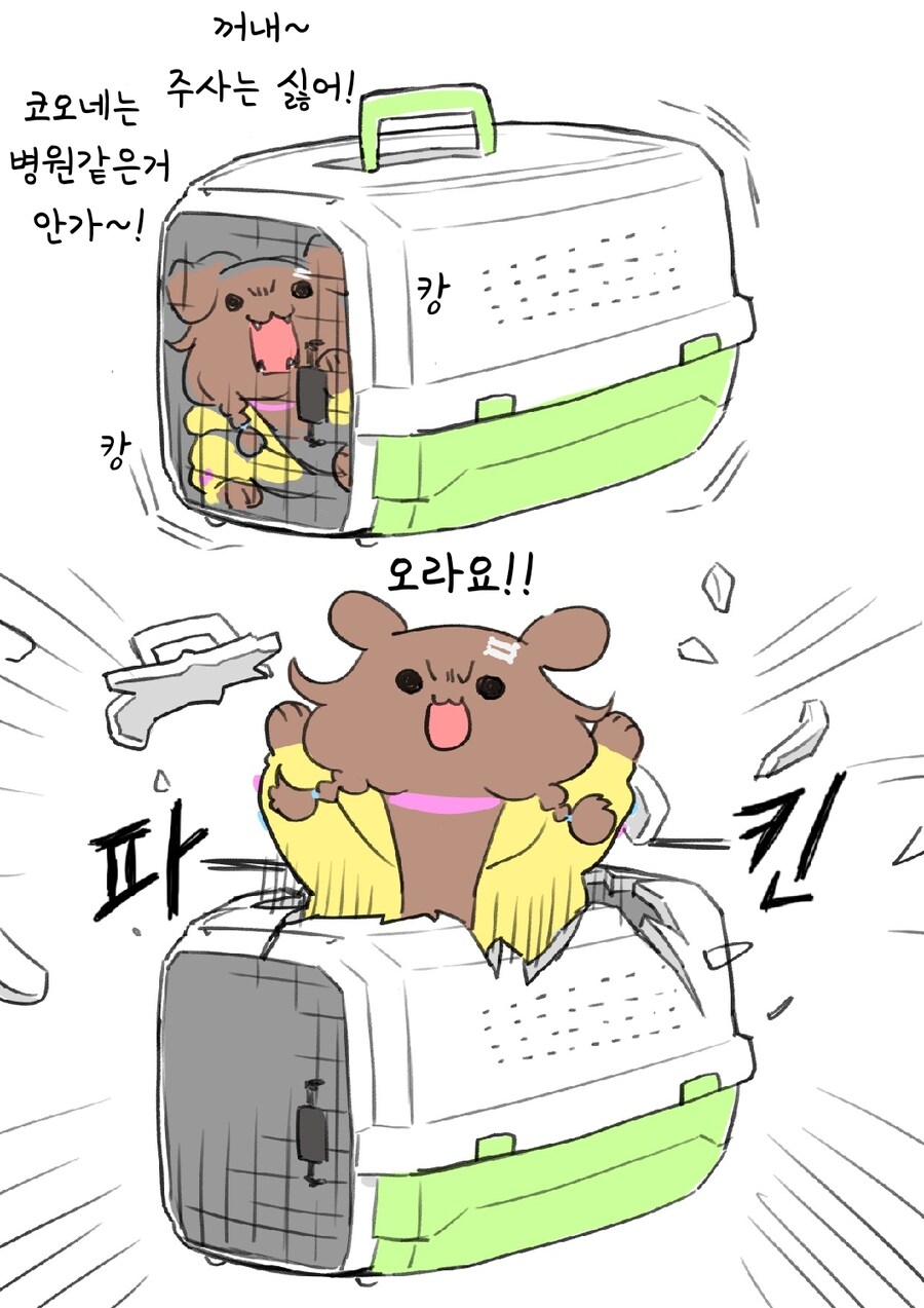 또 다음 정규팩 이름 공개될 타이밍이 되가니 폭주해버렸네요_1.jpg
