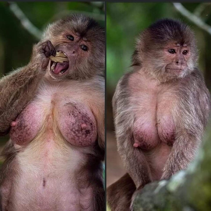 ㅇㅇㄱ) 얘들아 지금 미리미리 탄약 분배해두자_3.jpg