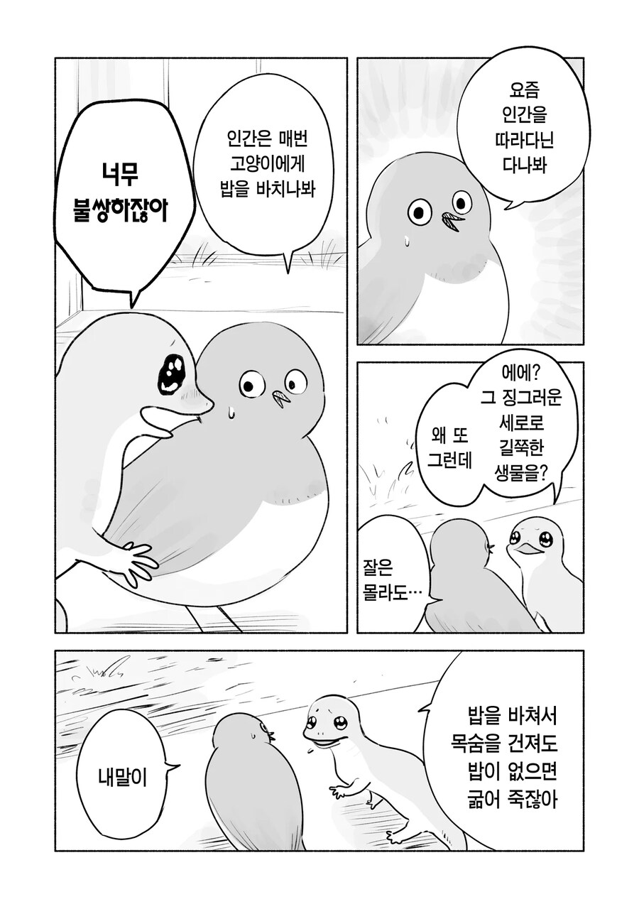 고양이를 따라하는 참새와 도마뱀_3.png
