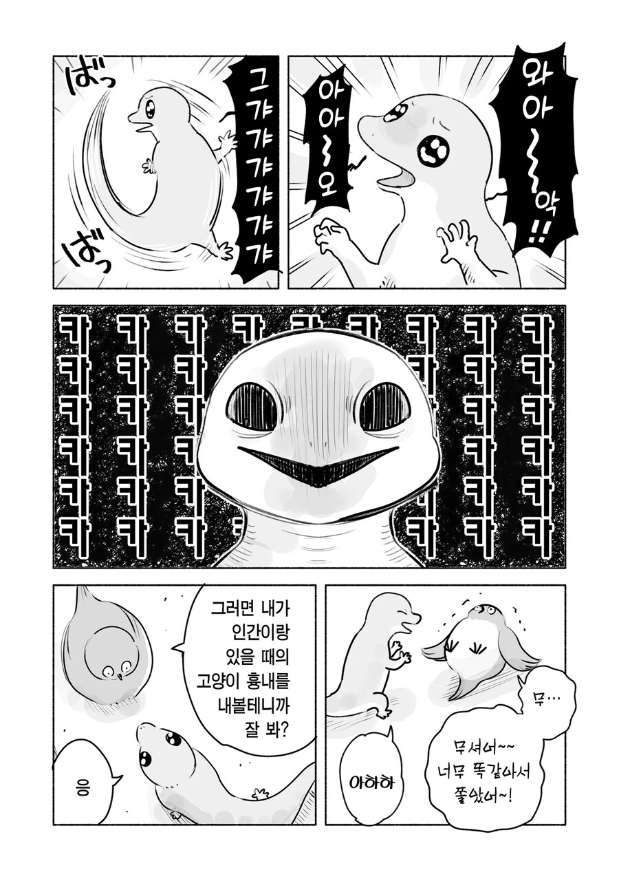 고양이를 따라하는 참새와 도마뱀_5.png
