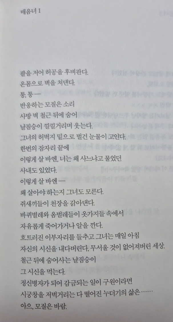 어느 자.살한 시인이 1년동안 쓴 시.jpg_2.webp