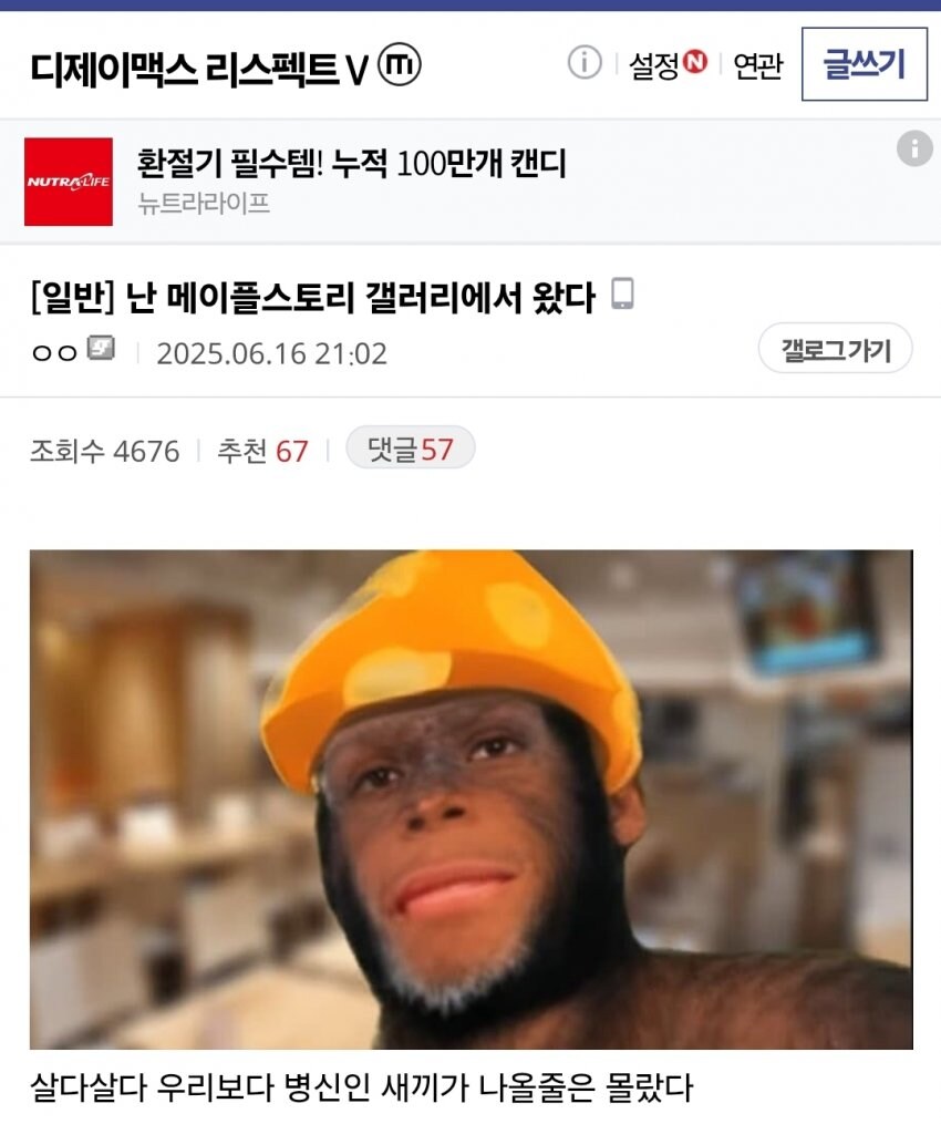 ㅇㅇㄱ) 디맥갤에 나타난 쌀숭이(사진수정)_1.jpg