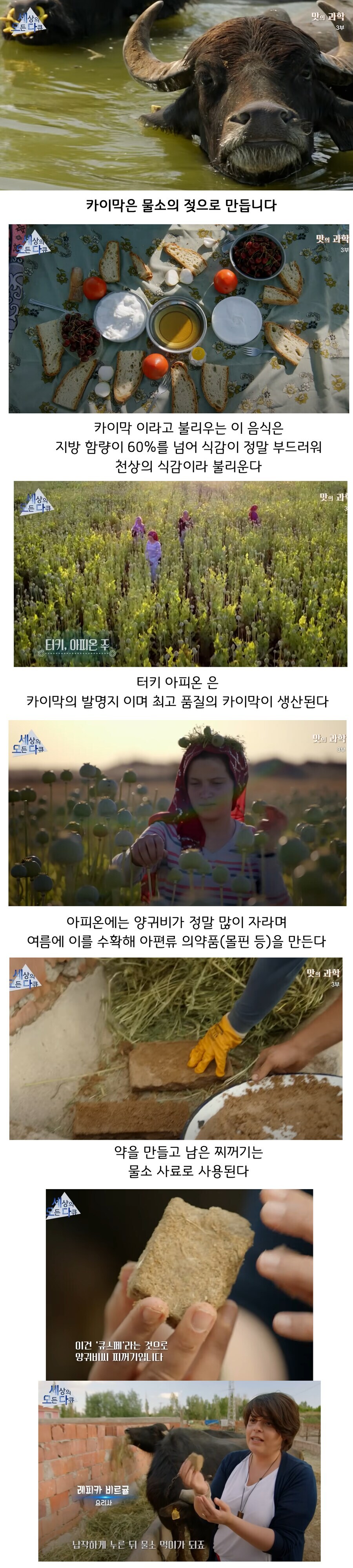 한국에서 만들면 그맛이 안난다는 중동 음식.jpg_1.jpg
