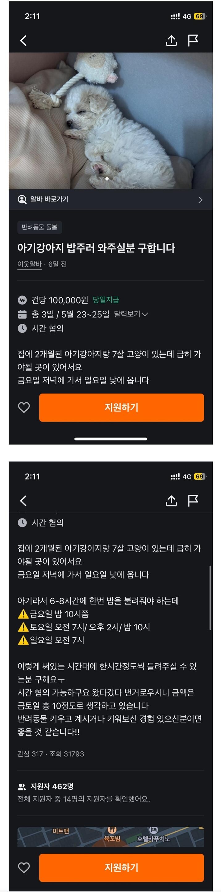 pic) 지원자 462명 당근 알바.jpg_1.png