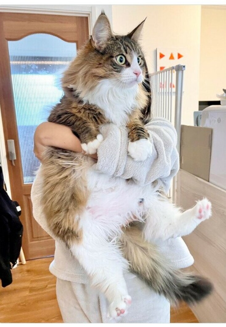 출석일수 부심 부리는 슨배임들이 있다고?_3.jpg