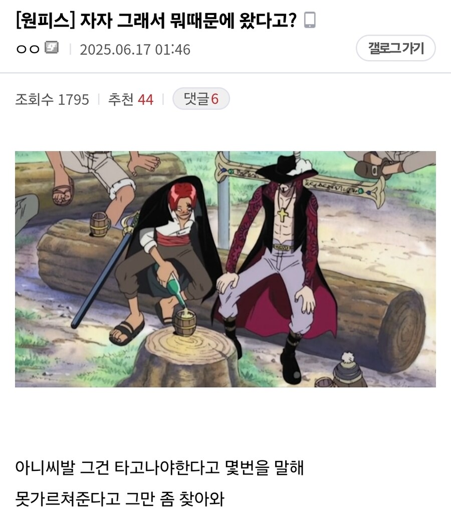 원피스 패왕색 바겐세일_1.jpg