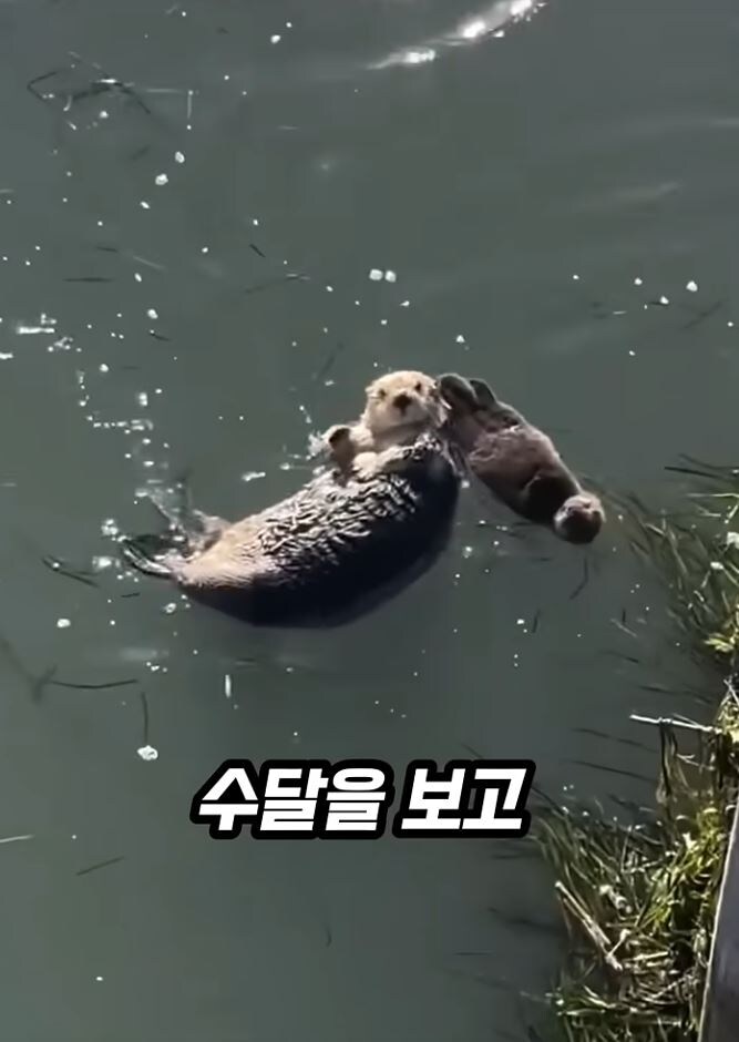요즘 숏츠 jpg._1.jpg