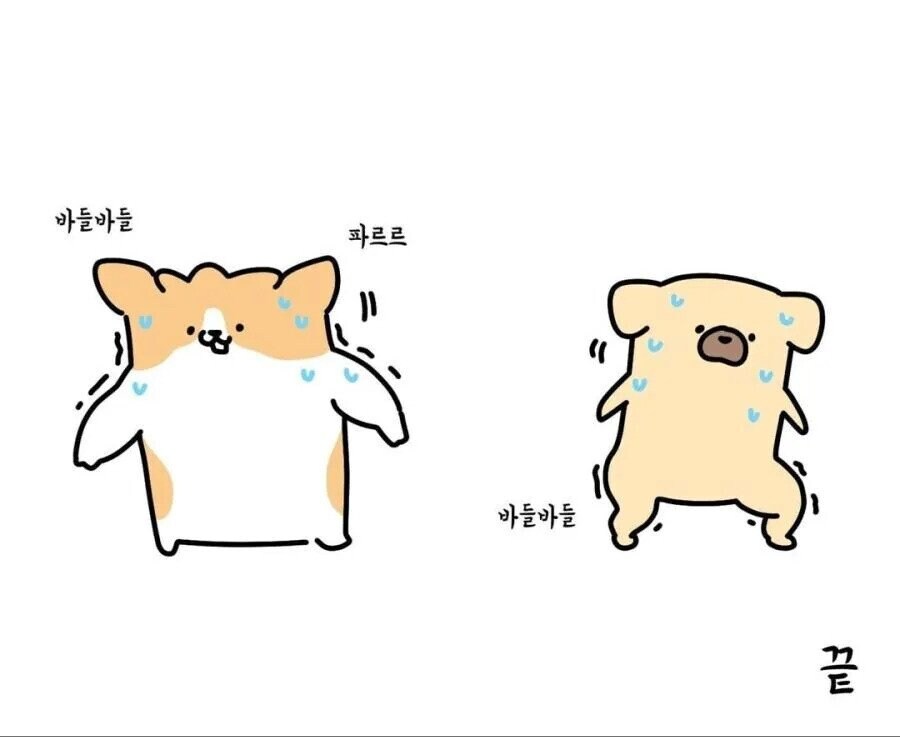 헬스장 소심한 사람들 특징_8.jpg