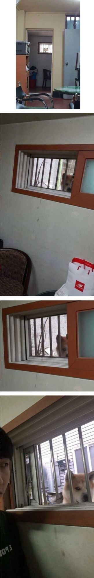 ??_1.jpg