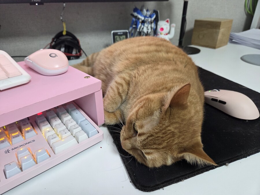 오늘도 시작된 땡깡_1.jpg