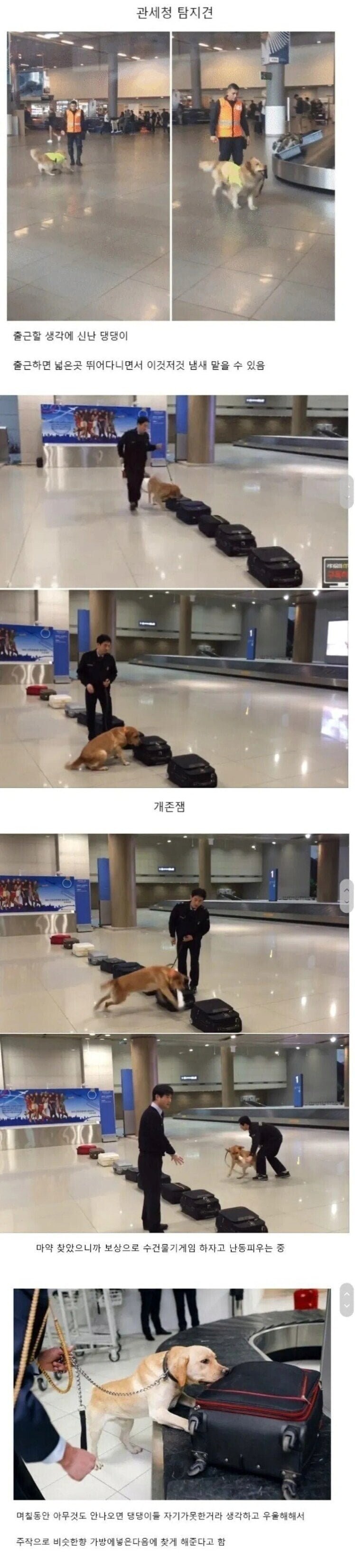 의외로 사내복지 개쩐다는 곳.jpg_1.png
