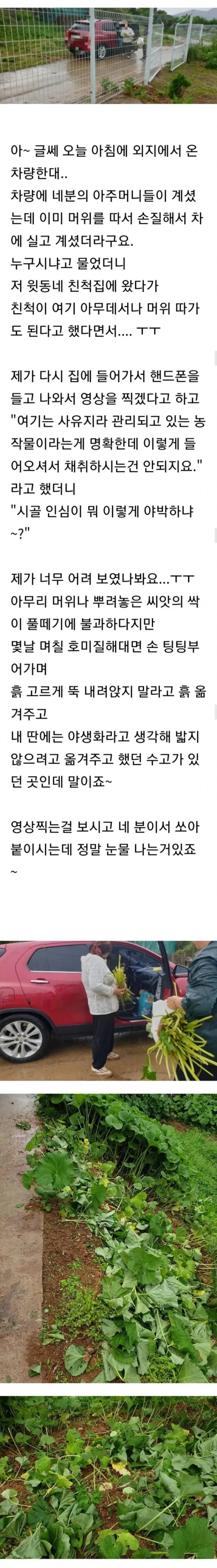 시골 인심을 강요당한 사람.jpg_1.png
