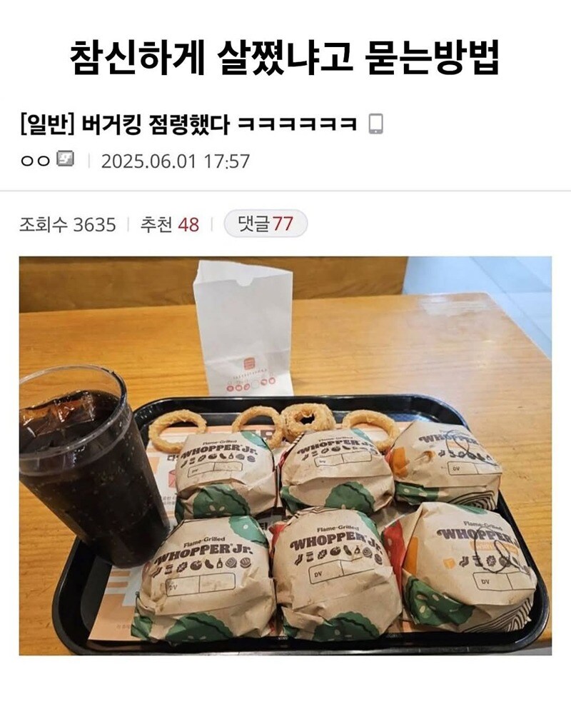 요 근래에 보고 제일 많이 웃은 글_1.jpg
